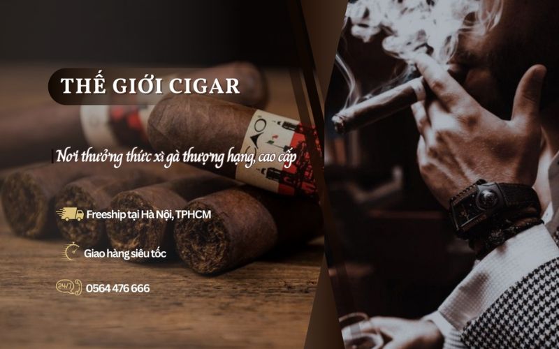 Thế Giới Cigar - Cửa hàng bán xì gà chính hãng, giá tốt