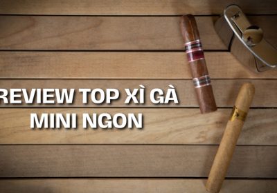 Review 7 Top Xì Gà Mini Ngon Được Ưa Chuộng Nhất Tại Việt Nam